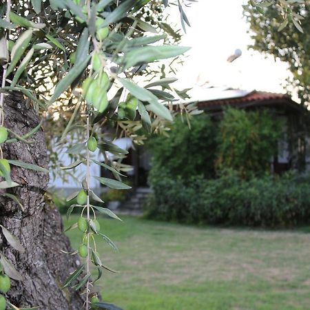 Skala Rachoni Patroudis House公寓 外观 照片