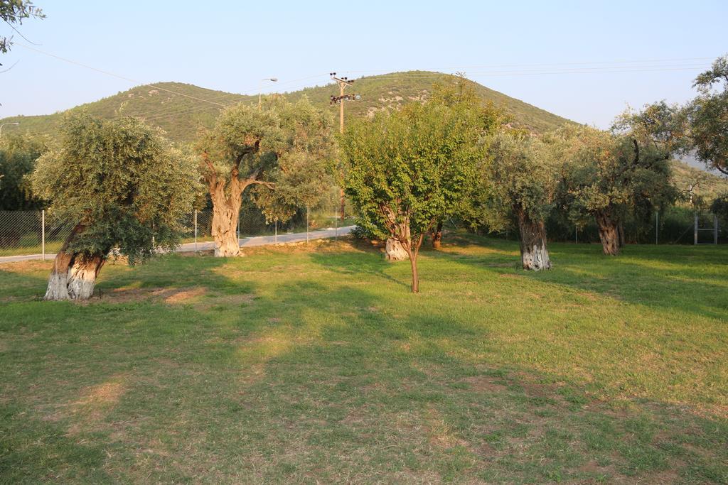 Skala Rachoni Patroudis House公寓 外观 照片
