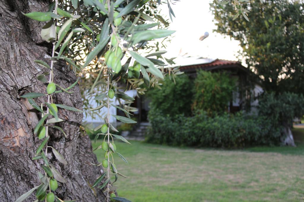 Skala Rachoni Patroudis House公寓 外观 照片