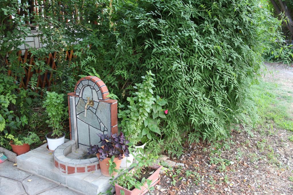 Skala Rachoni Patroudis House公寓 外观 照片