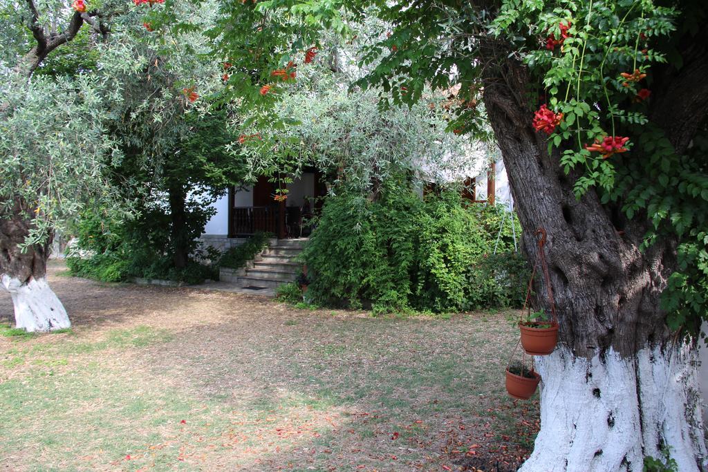 Skala Rachoni Patroudis House公寓 客房 照片