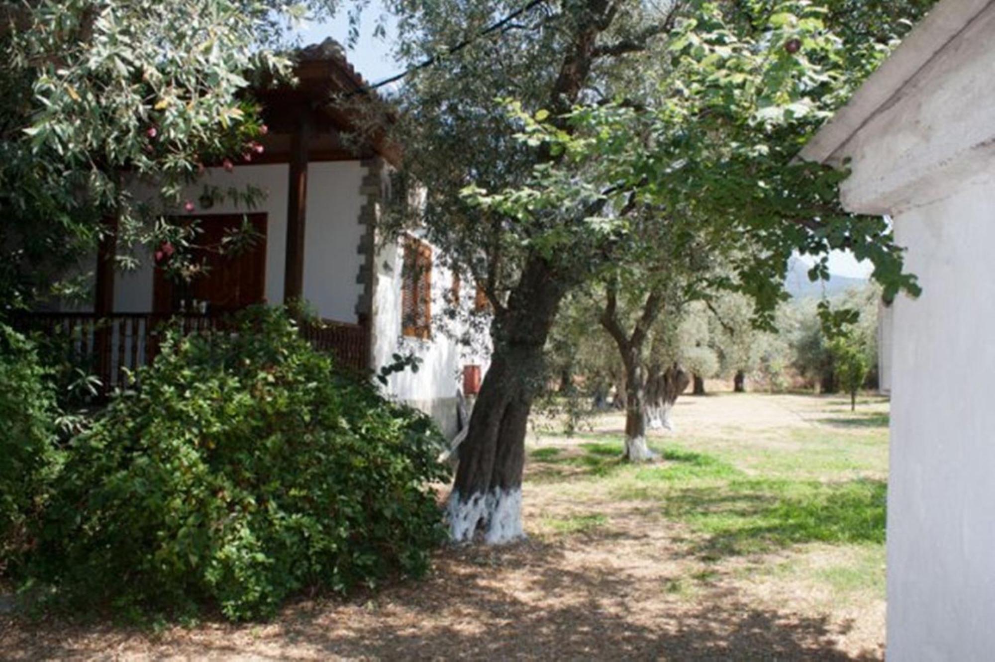 Skala Rachoni Patroudis House公寓 外观 照片