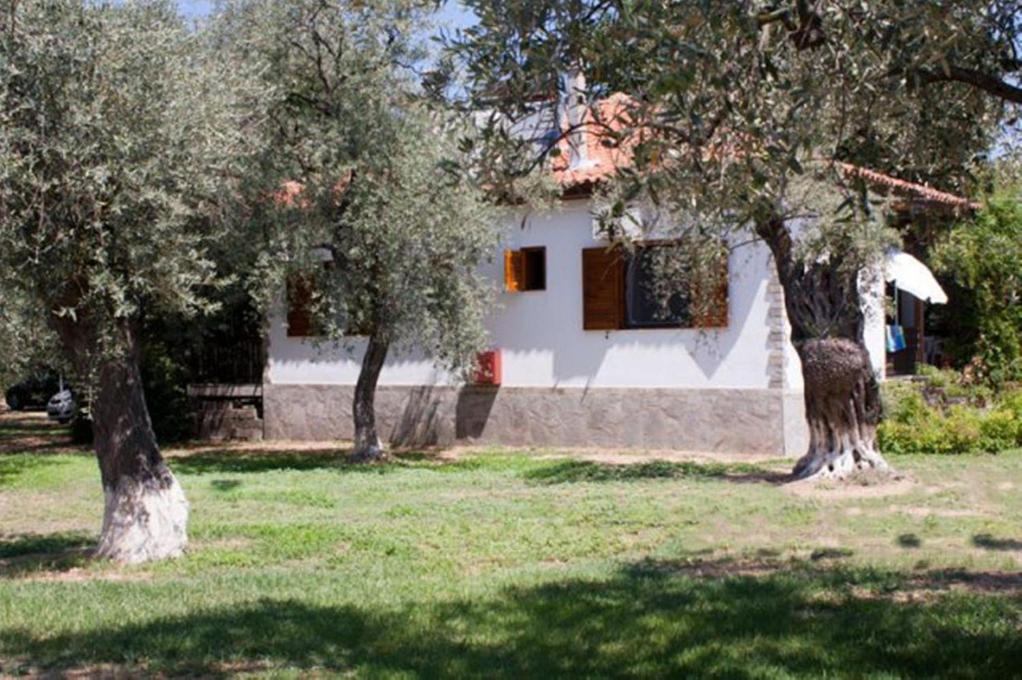 Skala Rachoni Patroudis House公寓 外观 照片