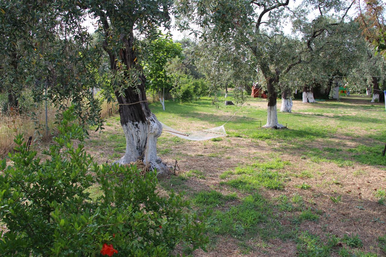 Skala Rachoni Patroudis House公寓 外观 照片